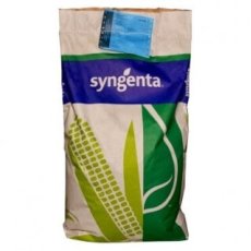 Посевной материал гибрид кукурузы SYNGENTA SY VERALIA (Сингента)