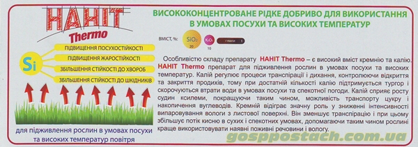 термо нанит термос